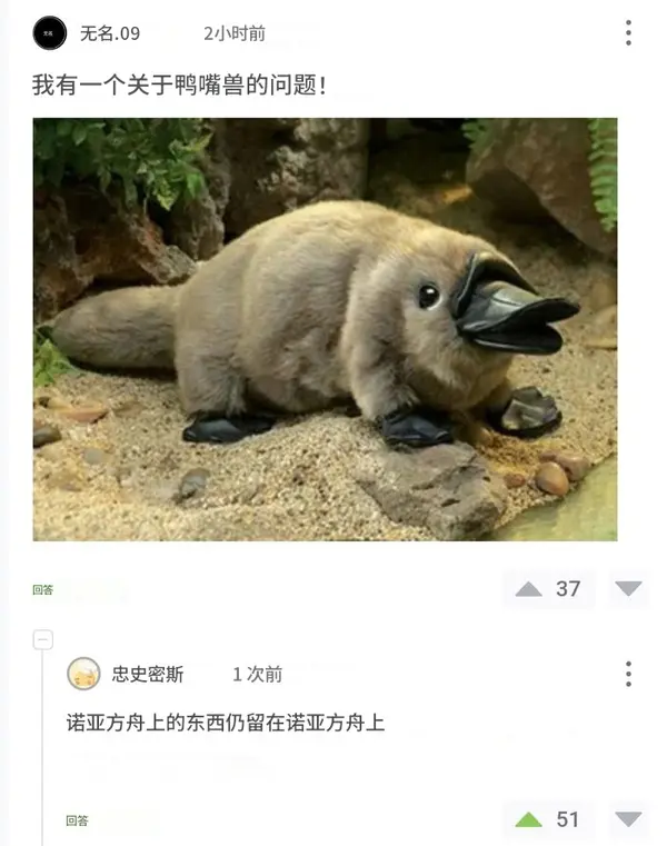 今日沙雕： 小明和小紅互相用練習冊互毆，被稱作是教科書級別的戰(zhàn)斗宣傳圖101