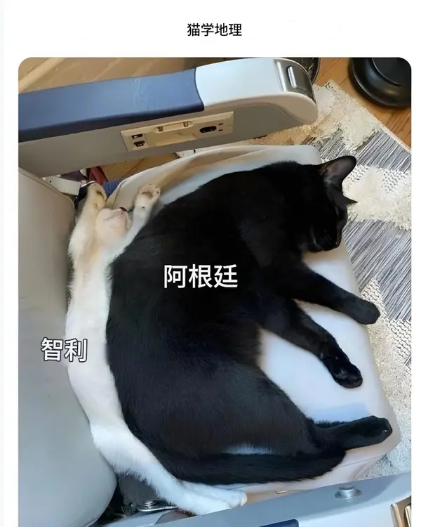今日沙雕： 小明和小紅互相用練習冊互毆，被稱作是教科書級別的戰(zhàn)斗宣傳圖108