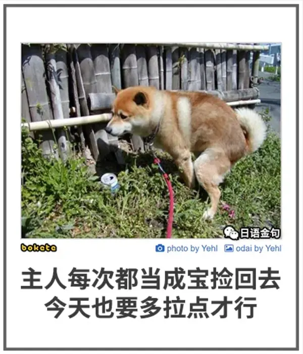 今日沙雕： 為什么那些工人怕被電鋸鋸手呢？他們不會(huì)開(kāi)抗鋸齒嗎？宣傳圖32