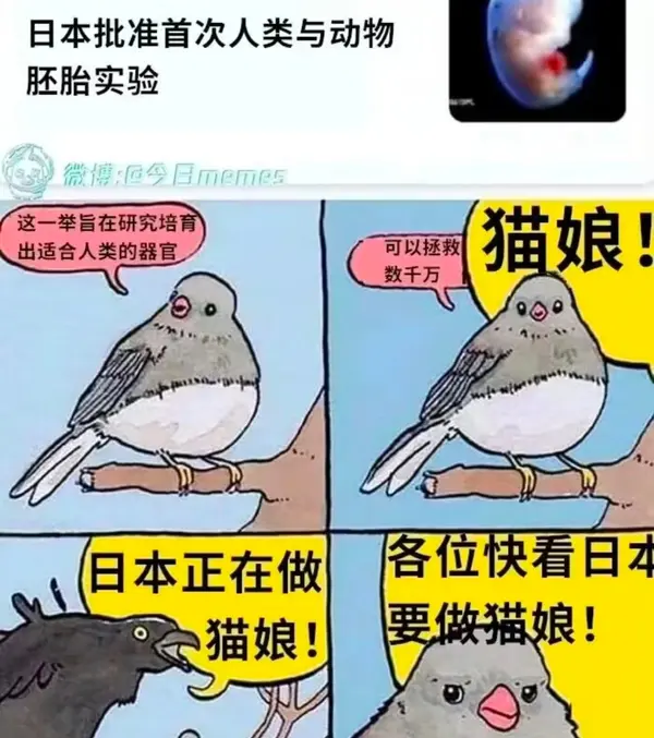 今日沙雕： 打開水龍頭就會有水，非洲人要是早知道也不會缺水宣傳圖73