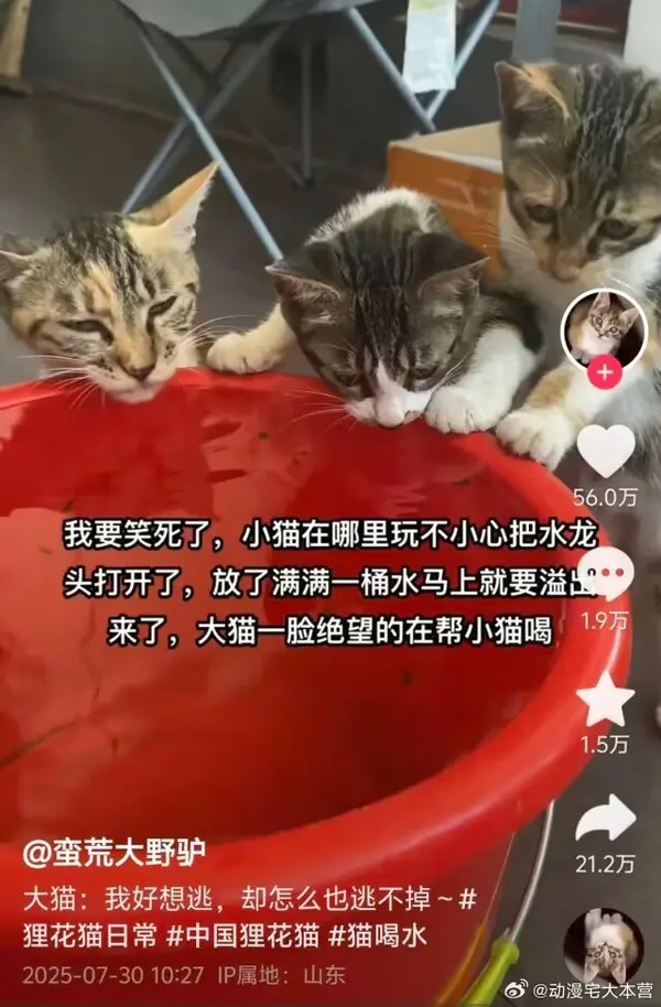 今日沙雕： 打開水龍頭就會有水，非洲人要是早知道也不會缺水宣傳圖151