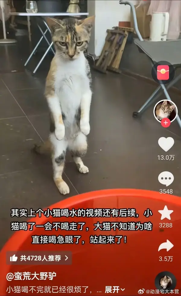 今日沙雕： 打開水龍頭就會有水，非洲人要是早知道也不會缺水宣傳圖152