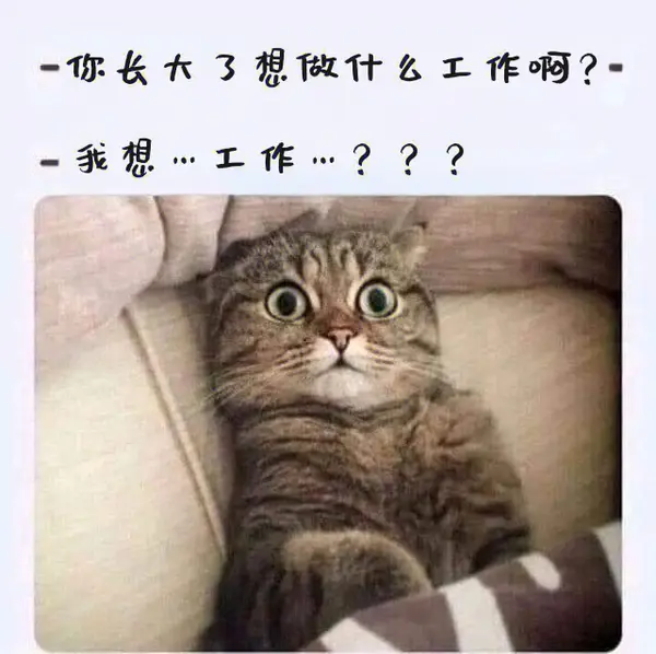 今日沙雕：我一個(gè)朋友被綁架到緬北，我分期付款，他們分期發(fā)貨宣傳圖33