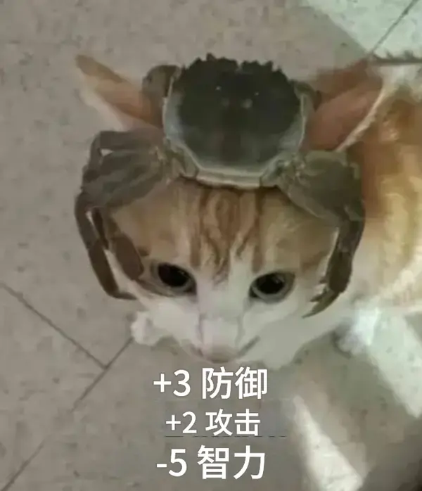 今日沙雕：我一個(gè)朋友被綁架到緬北，我分期付款，他們分期發(fā)貨宣傳圖42