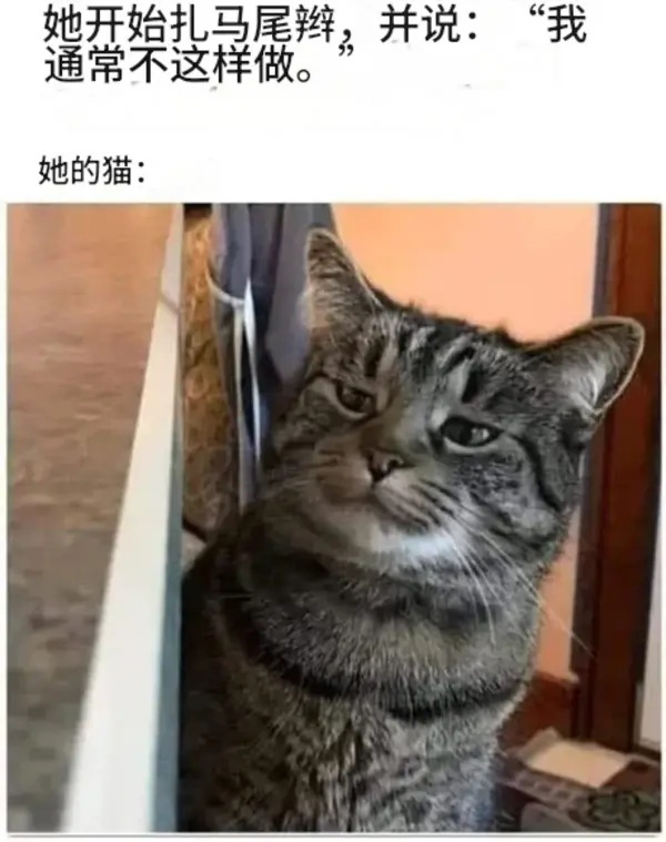 今日沙雕：我一個(gè)朋友被綁架到緬北，我分期付款，他們分期發(fā)貨宣傳圖58