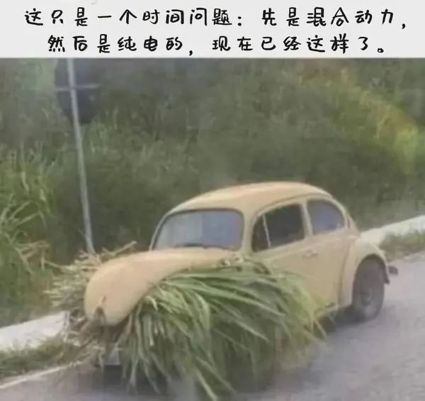 今日沙雕：我一個(gè)朋友被綁架到緬北，我分期付款，他們分期發(fā)貨宣傳圖73
