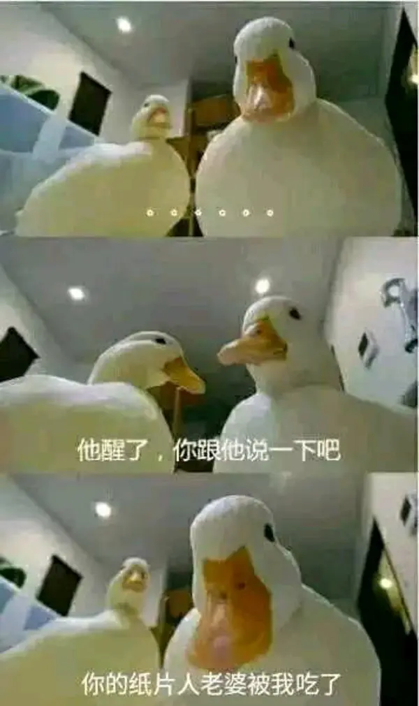 今日沙雕：我一個(gè)朋友被綁架到緬北，我分期付款，他們分期發(fā)貨宣傳圖102