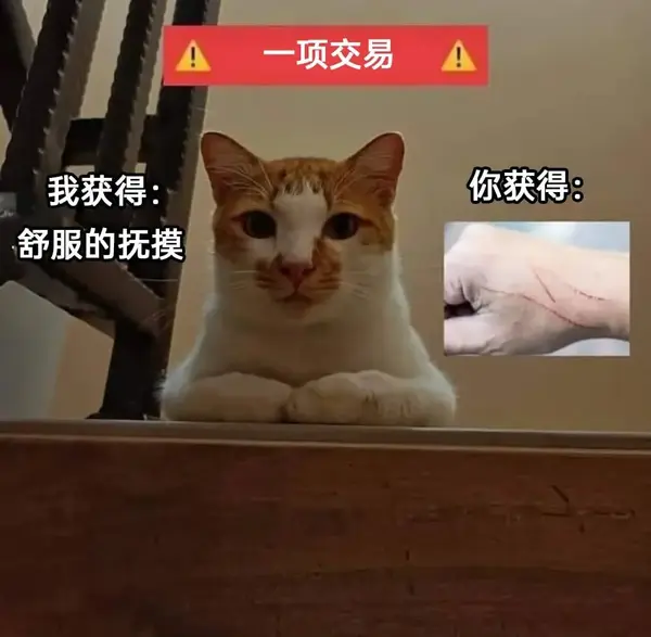 今日沙雕：吃菌子，見小人，此大漢之所以傾頹也宣傳圖20