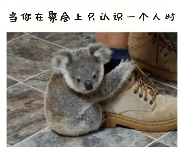 今日沙雕：吃菌子，見小人，此大漢之所以傾頹也宣傳圖24