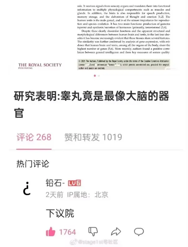 今日沙雕：吃菌子，見小人，此大漢之所以傾頹也宣傳圖28