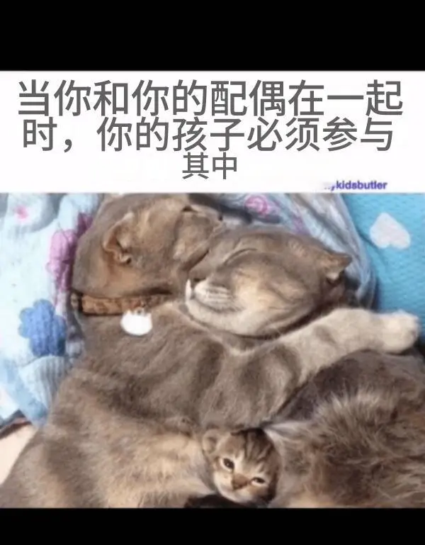 今日沙雕：吃菌子，見小人，此大漢之所以傾頹也宣傳圖56