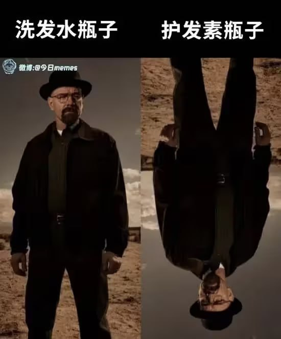 今日沙雕：吃菌子，見小人，此大漢之所以傾頹也宣傳圖94