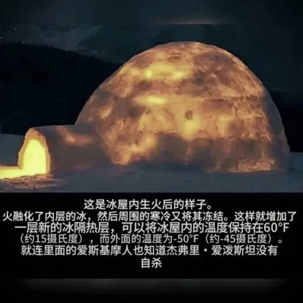 今日沙雕： 如果機(jī)長在飛機(jī)上起飛的話飛機(jī)會迫降嗎？宣傳圖73