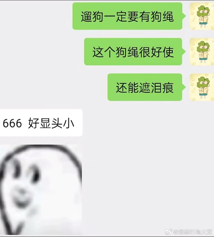 今日沙雕： 如果機(jī)長在飛機(jī)上起飛的話飛機(jī)會迫降嗎？宣傳圖124