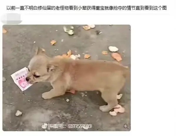 今日沙雕： 上下樓梯都靠右通行，不會(huì)堵住嗎？宣傳圖39