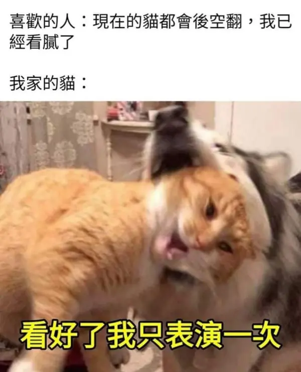 今日沙雕： 上下樓梯都靠右通行，不會(huì)堵住嗎？宣傳圖51