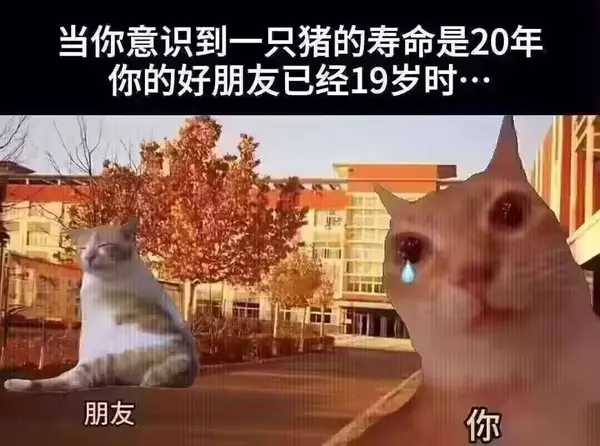 今日沙雕： 上下樓梯都靠右通行，不會(huì)堵住嗎？宣傳圖64