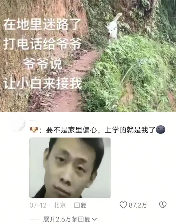 今日沙雕： 上下樓梯都靠右通行，不會(huì)堵住嗎？宣傳圖81