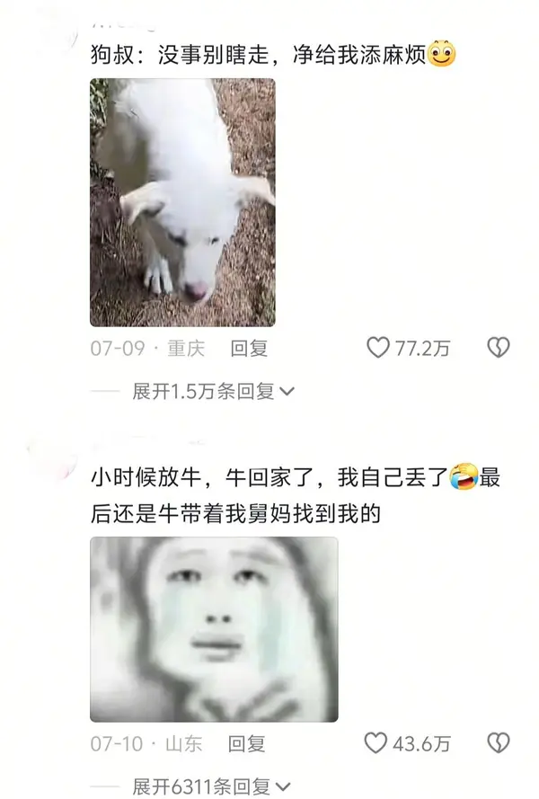 今日沙雕： 上下樓梯都靠右通行，不會(huì)堵住嗎？宣傳圖82