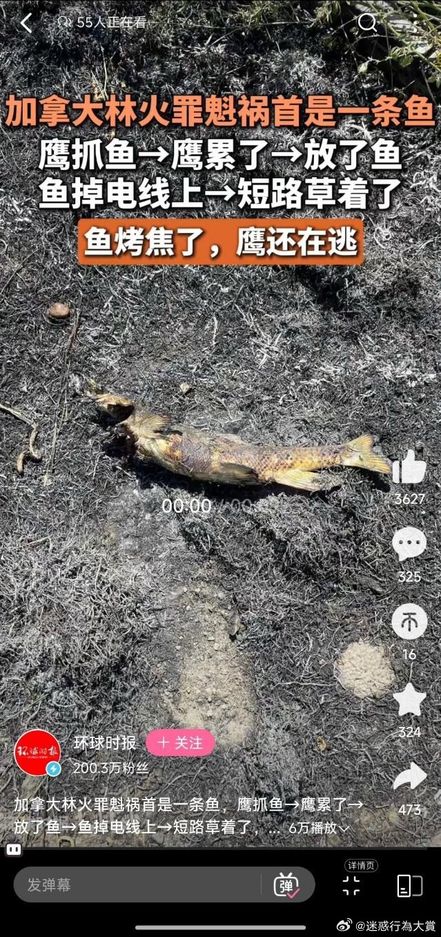 今日沙雕： 一覺醒來全世界智商不變，只有我下降100倍宣傳圖32