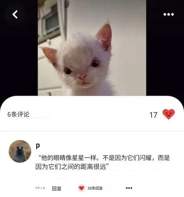 今日沙雕： 美國(guó)警察因?yàn)樽约河白邮呛谏牟坏貌粨魯雷约盒麄鲌D82