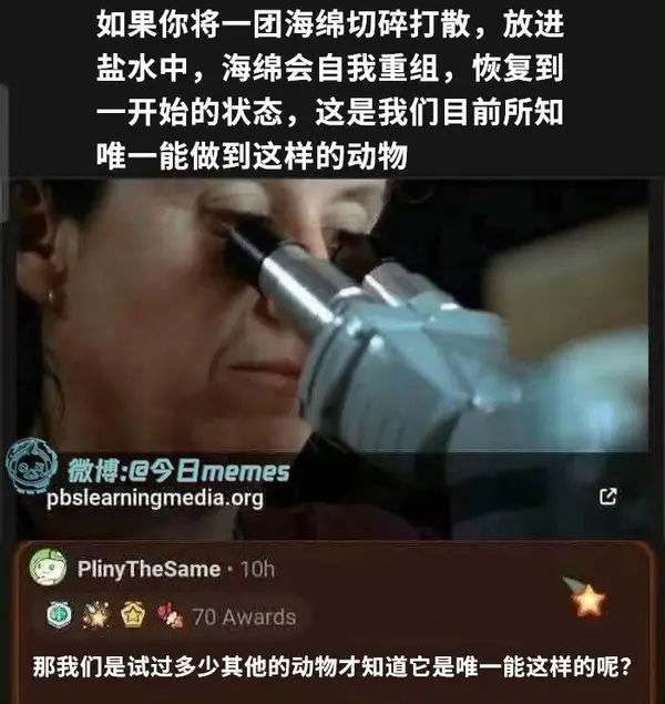 今日沙雕：強勢老婆要求兒子性別隨她我該怎么辦今日沙雕宣傳圖30