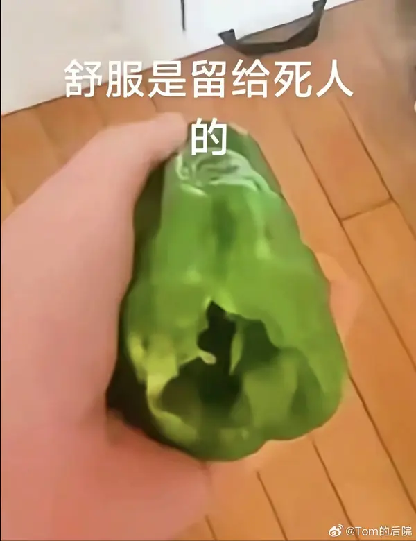 今日沙雕：盲人帶手套和我們帶降噪耳機(jī)是不是一個(gè)道理宣傳圖21