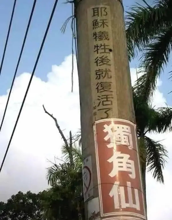 今日沙雕：盲人帶手套和我們帶降噪耳機(jī)是不是一個(gè)道理宣傳圖39