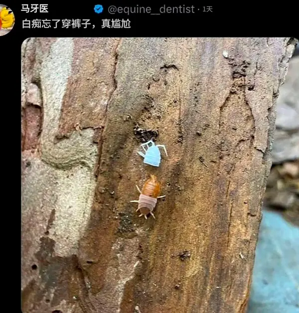 今日沙雕：盲人帶手套和我們帶降噪耳機(jī)是不是一個(gè)道理宣傳圖65