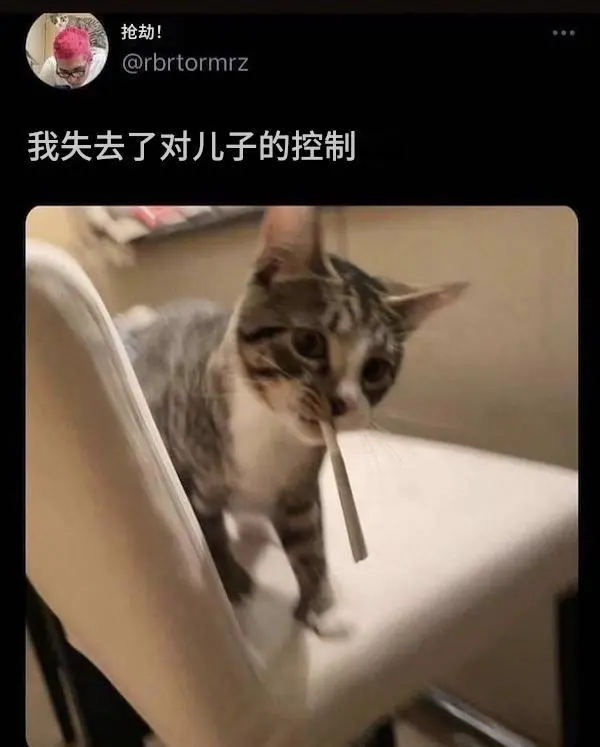 今日沙雕： 販賣(mài)人口是禁止的，那為什么還有人才市場(chǎng)宣傳圖64