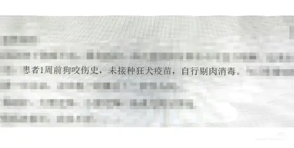 今日沙雕：雞腿這么好吃，為什么不能讓雞跟蜈蚣雜交宣傳圖36