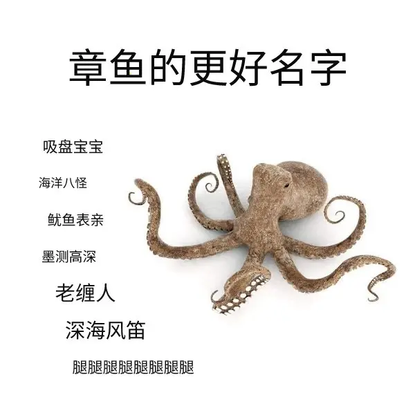 今日沙雕：雞腿這么好吃，為什么不能讓雞跟蜈蚣雜交宣傳圖67