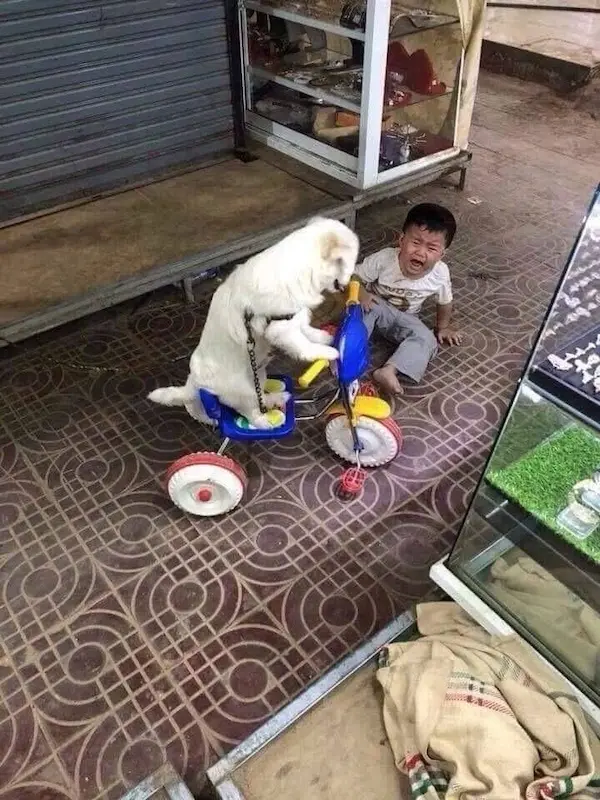 今日沙雕：雞腿這么好吃，為什么不能讓雞跟蜈蚣雜交宣傳圖69