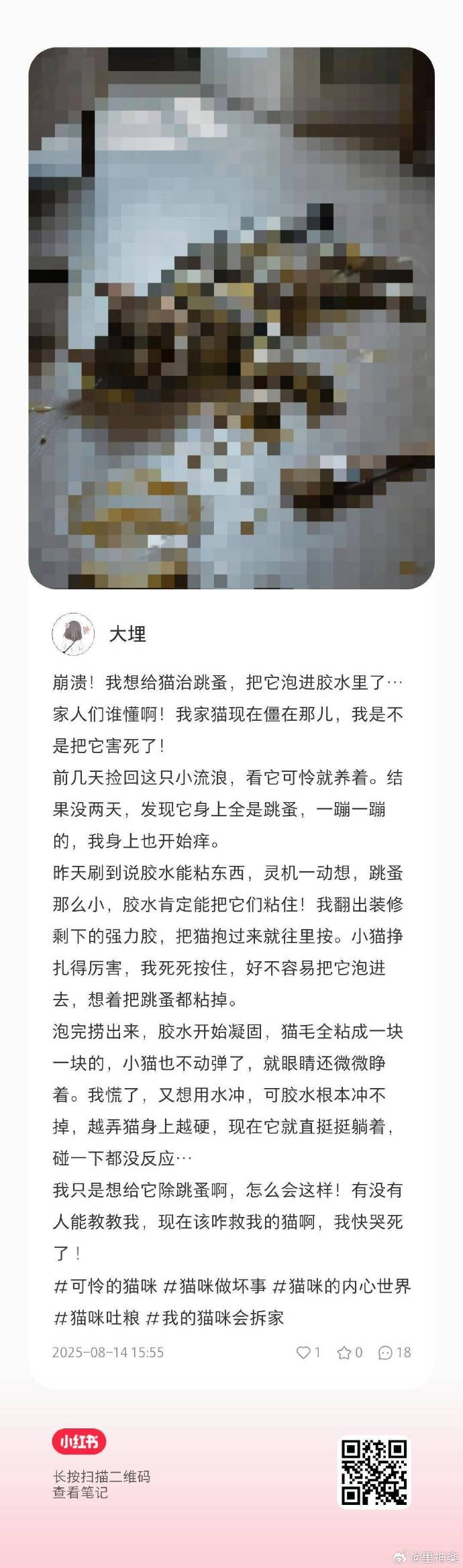今日沙雕： 幸好我沒有出生在俄羅斯，因?yàn)槲也粫?huì)俄語宣傳圖10