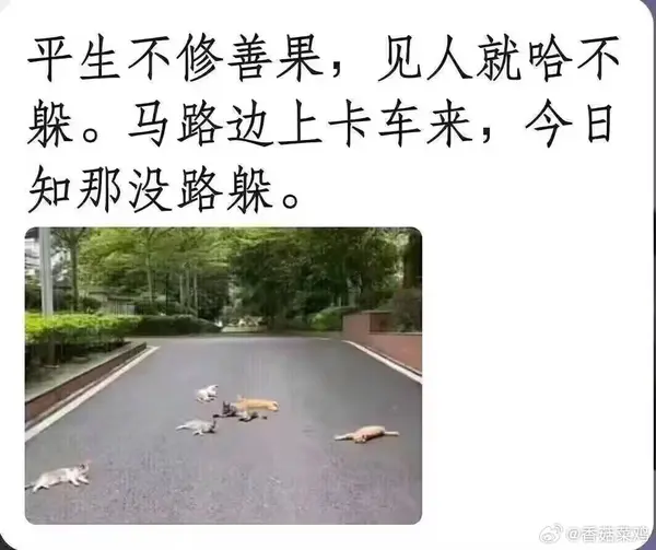 今日沙雕：媽媽說做飯需要蚰蜒醬醋，到哪里抓蚰蜒比較好宣傳圖27