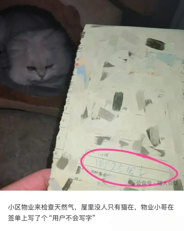 今日沙雕：媽媽說做飯需要蚰蜒醬醋，到哪里抓蚰蜒比較好宣傳圖60