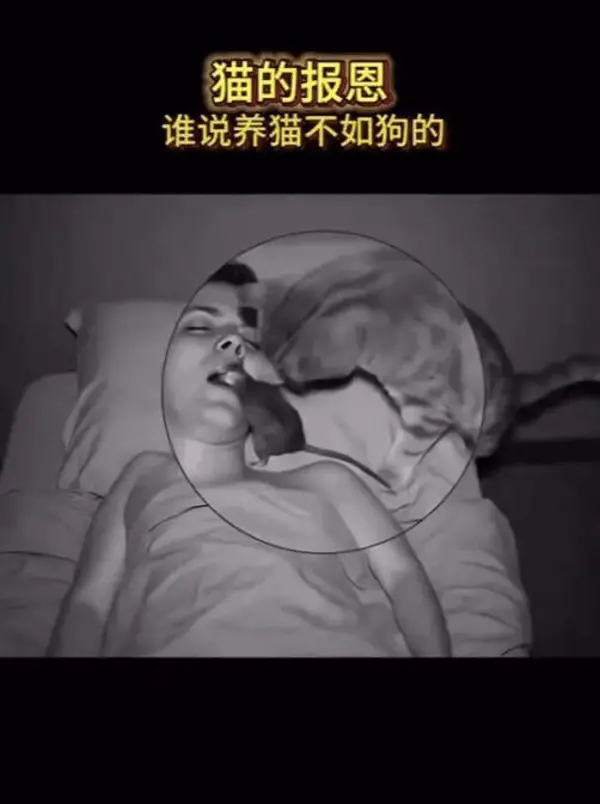 今日沙雕：媽媽說做飯需要蚰蜒醬醋，到哪里抓蚰蜒比較好宣傳圖89