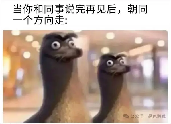 今日沙雕：媽媽說做飯需要蚰蜒醬醋，到哪里抓蚰蜒比較好宣傳圖110