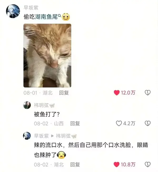 今日沙雕：媽媽說做飯需要蚰蜒醬醋，到哪里抓蚰蜒比較好宣傳圖116