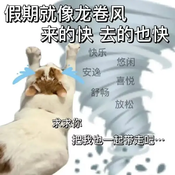 今日沙雕：媽媽說做飯需要蚰蜒醬醋，到哪里抓蚰蜒比較好宣傳圖136
