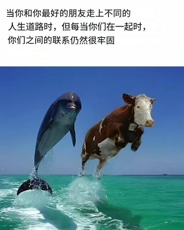 今日沙雕：媽媽說做飯需要蚰蜒醬醋，到哪里抓蚰蜒比較好宣傳圖146