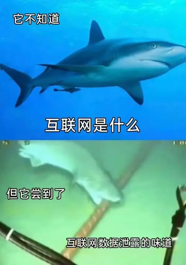 今日沙雕：車展其實是變形金剛的黃色直播宣傳圖57