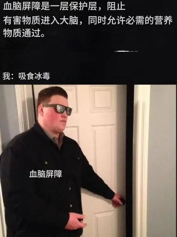 今日沙雕：車展其實是變形金剛的黃色直播宣傳圖77