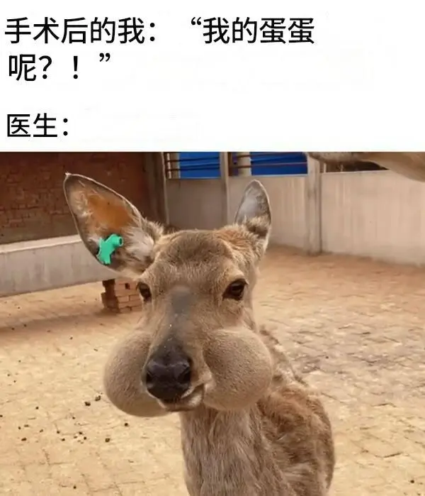今日沙雕： 如果古代沒有相機(jī)，古裝劇是怎么拍出來的宣傳圖44