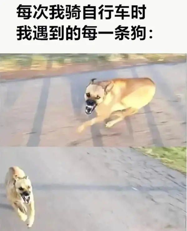 今日沙雕： 其實有錢人挺可憐的，那么多錢根本花不完宣傳圖74