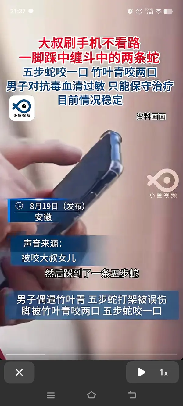 今日沙雕：故宮是不是可以叫漢堡宣傳圖5