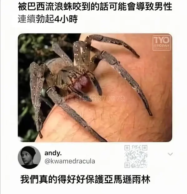 今日沙雕：故宮是不是可以叫漢堡宣傳圖77