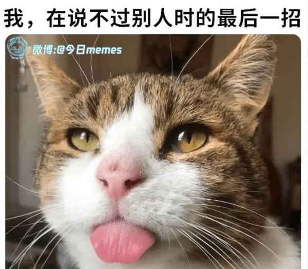 今日沙雕：故宮是不是可以叫漢堡宣傳圖80