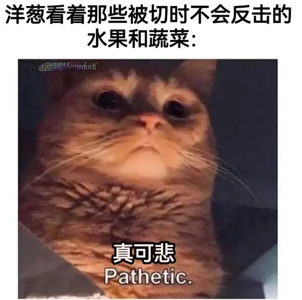 今日沙雕：故宮是不是可以叫漢堡宣傳圖88