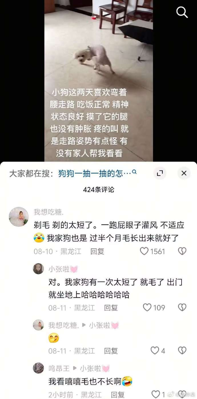  今日沙雕：耶穌被釘在十字架上，那十字架是不是可以叫訂酥機？宣傳圖4